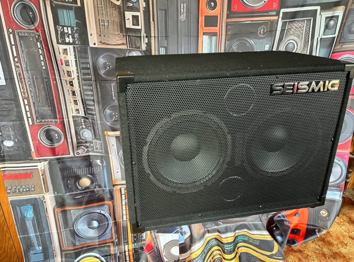 2x10 Bass Cabinet