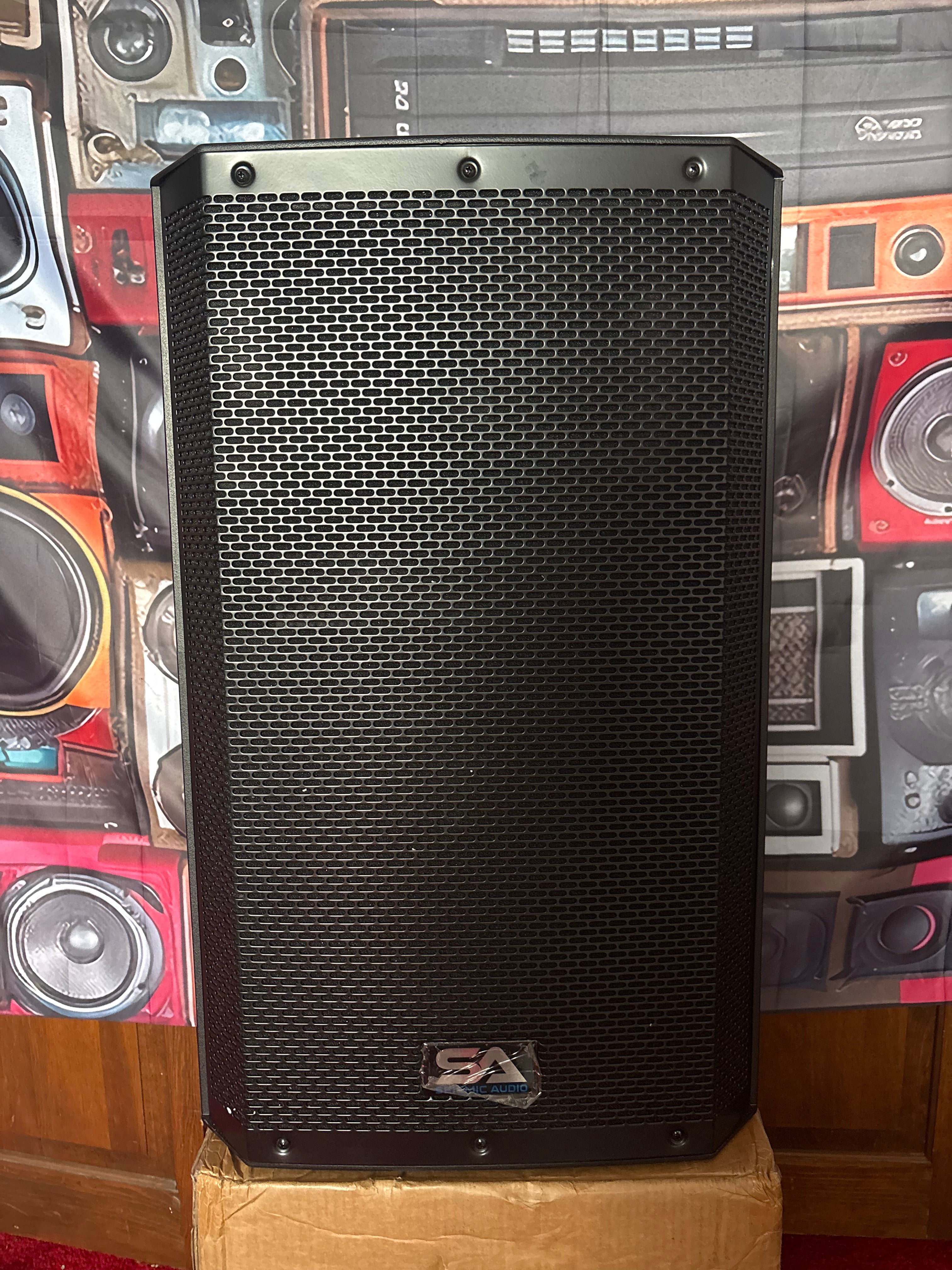 Riot-15P - 15 Inch Passive 2-Way 900 Watt PA /DJ Speaker Cabinet