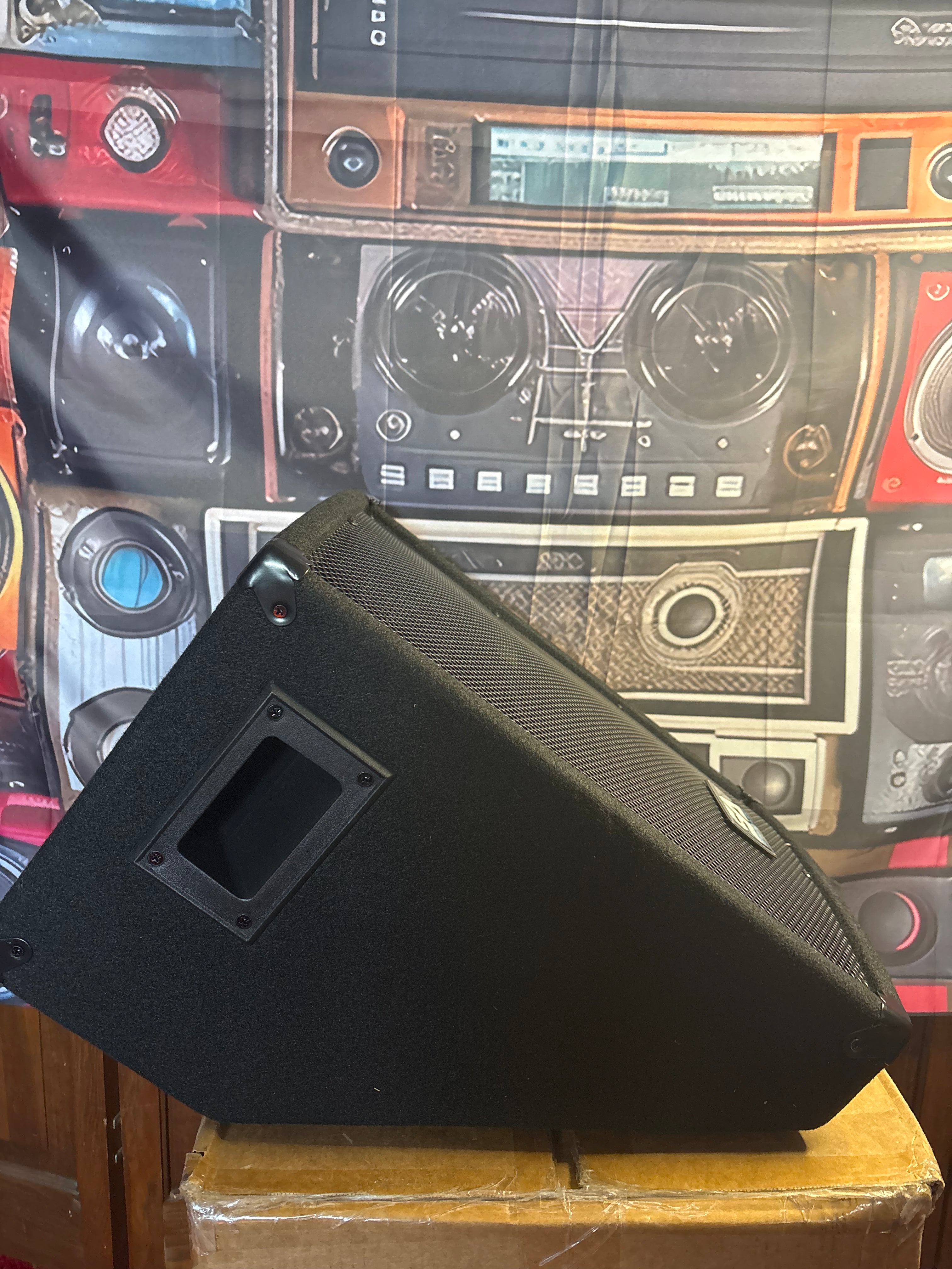 SA-10M - Passive 10" Wedge Floor Stage Monitor or Speaker